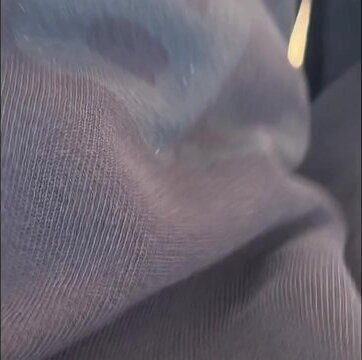 Public Cruising Florida Extended Edition Dane Coxx