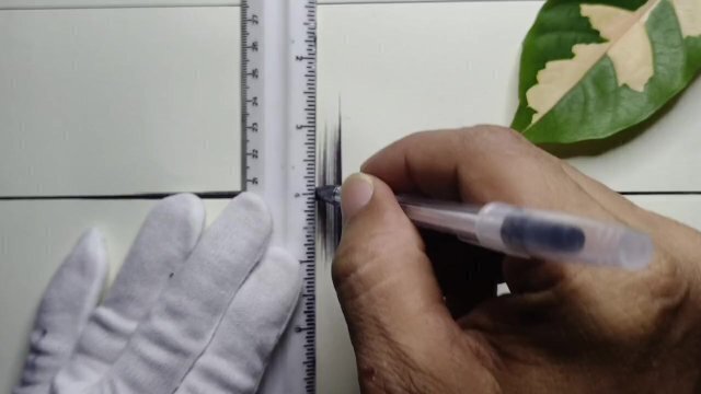 beautiful drawing using ordinary