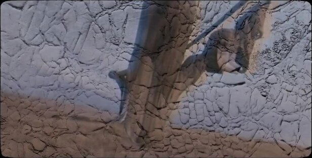 Pussy Costs Money Dick Free (music video)