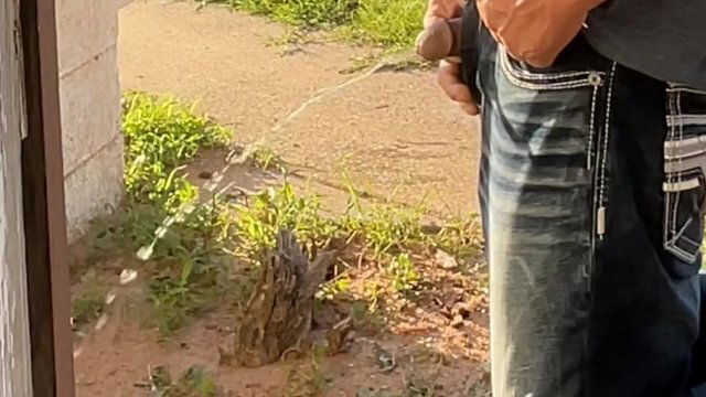 Flower work desperate public piss piss segments passing cars