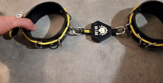 Everything Need Know About DG-Lab Hunter Restraints