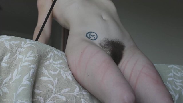 Creature makes impact