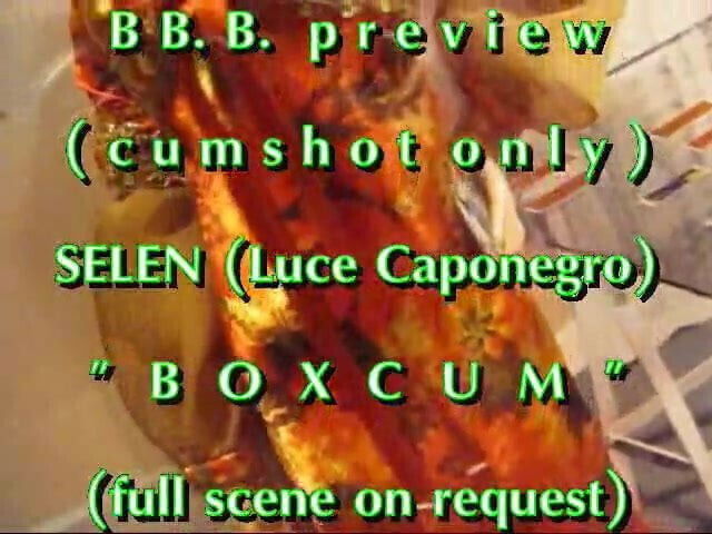 preview: Selen BoxCum
