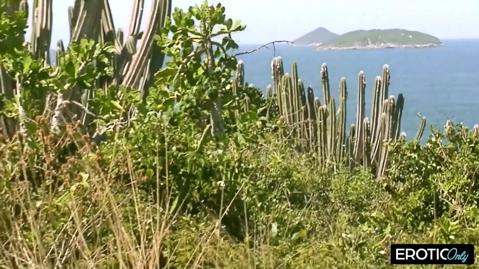 Flatcam Girls present jerk videos