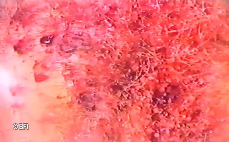 Chick gets dominated from punisher