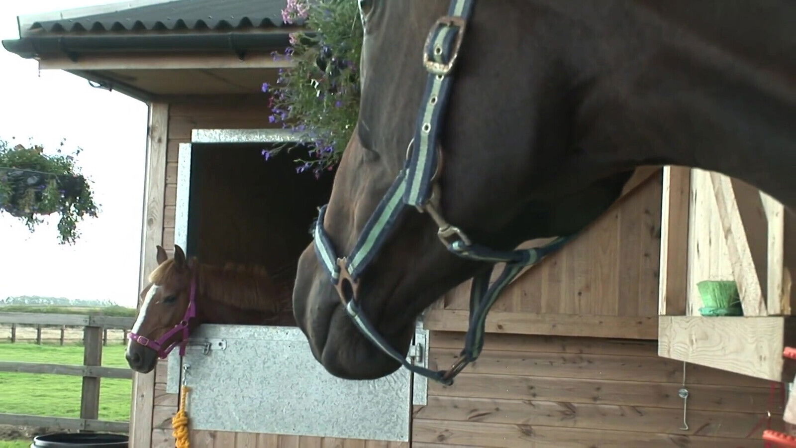 British pornstar gets rammed partner