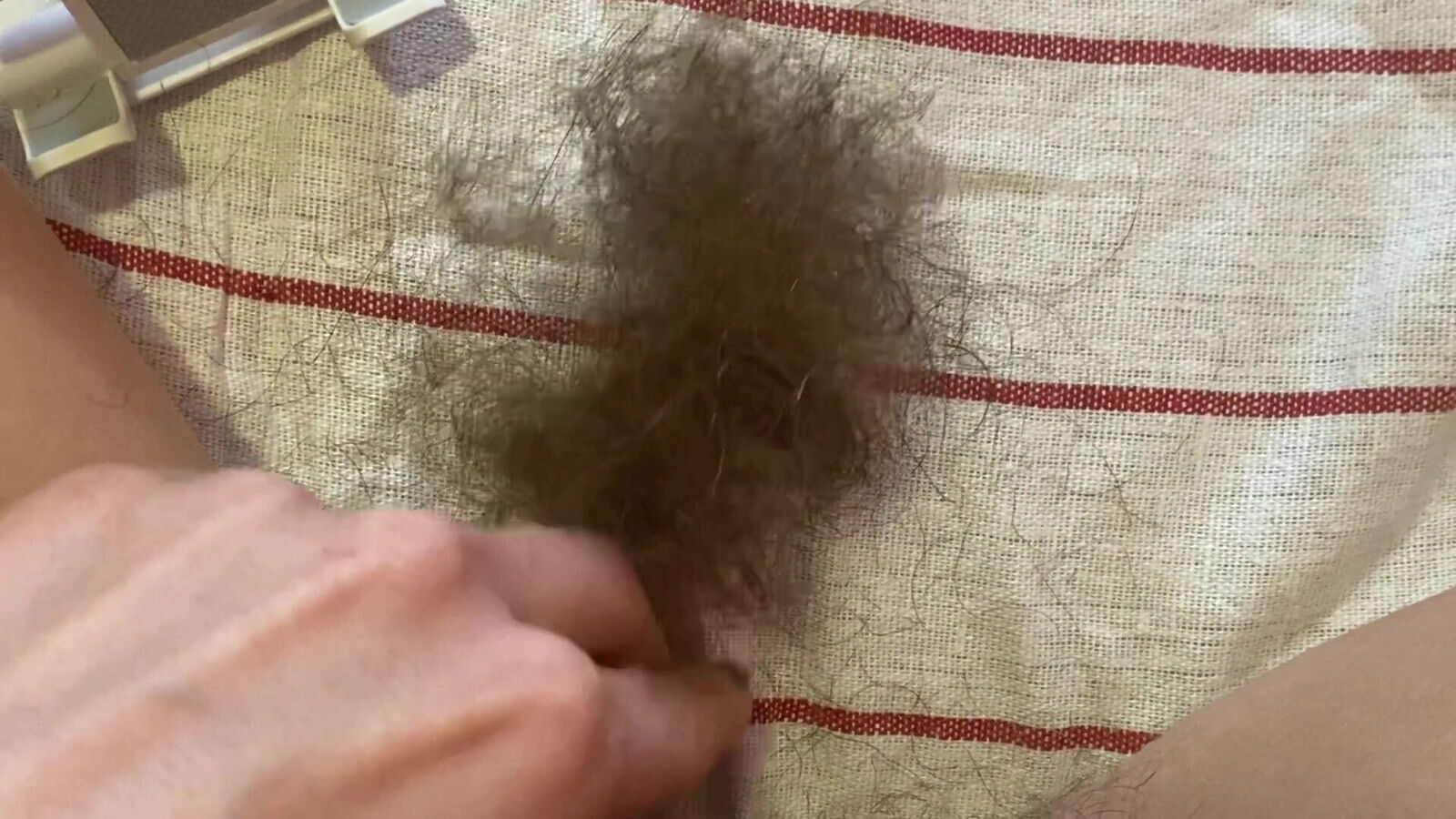 Hairy bush pussy hair cutting