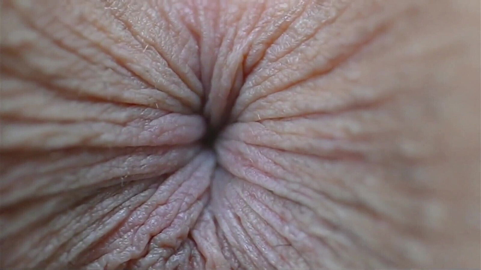 girls suck each other's asses same time chain, after other. GGmansion