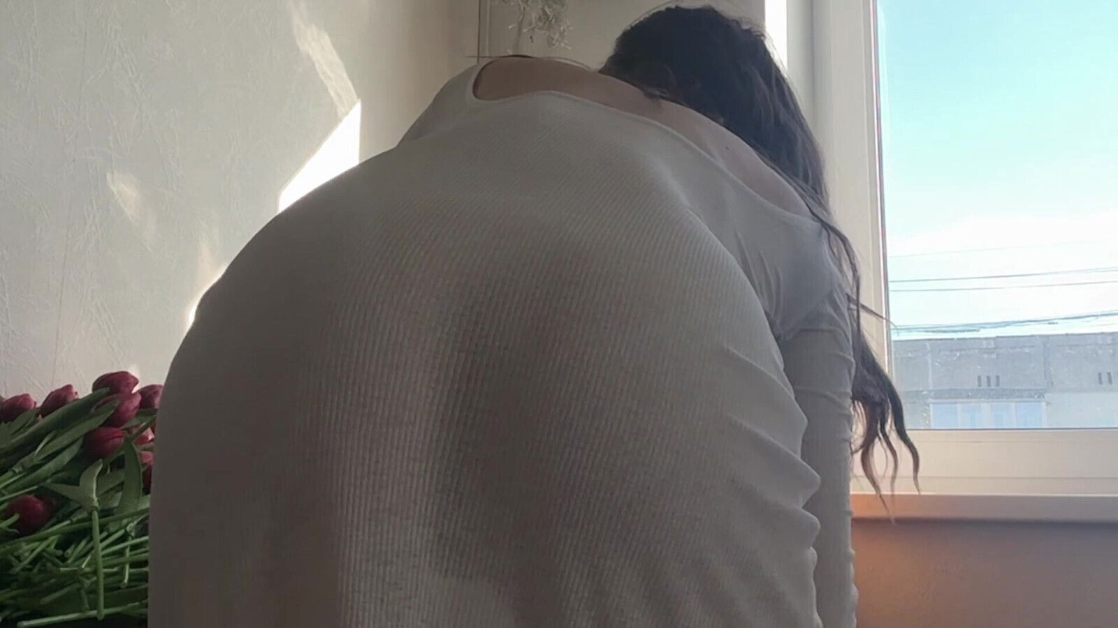 cleanind lady transparent dress