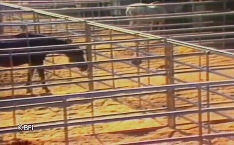 Vintage farm slave girls.