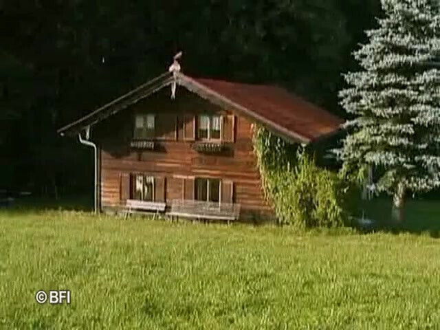 porn babes with perfect bodies getting hardcore fuck