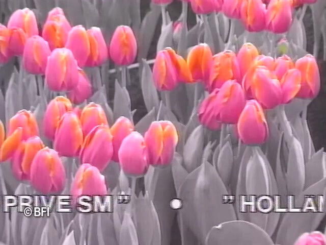 Punished Male Gets Hard Lesson From Femdom Chick