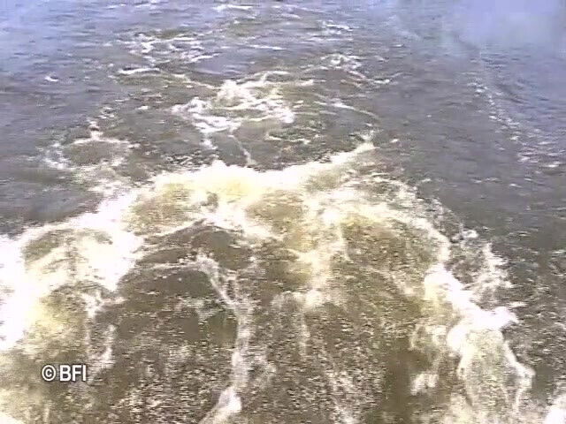 Wendy Somers love boat