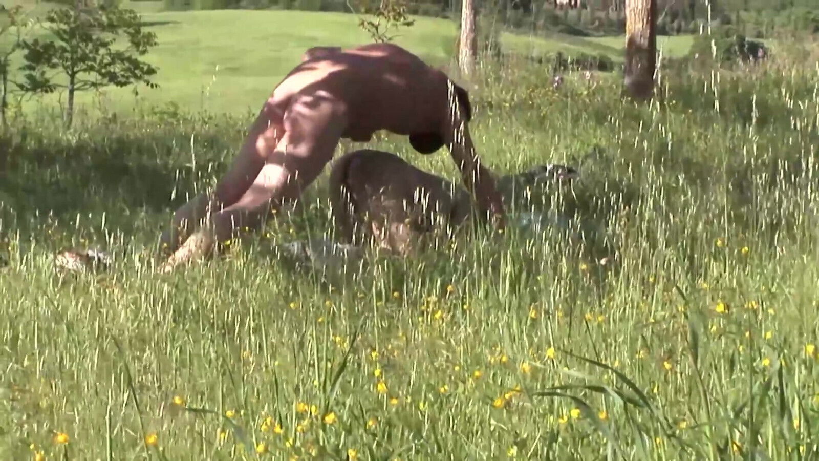 Outdoor Raid Fucking Movie