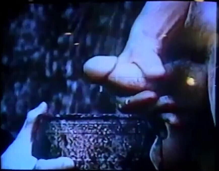 Vintage Black Slut Fucked Office