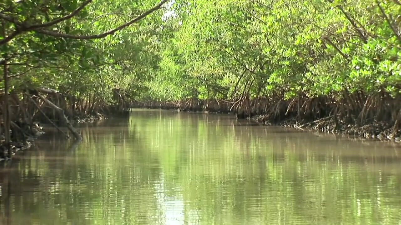 Delivery Vol.1 Episode