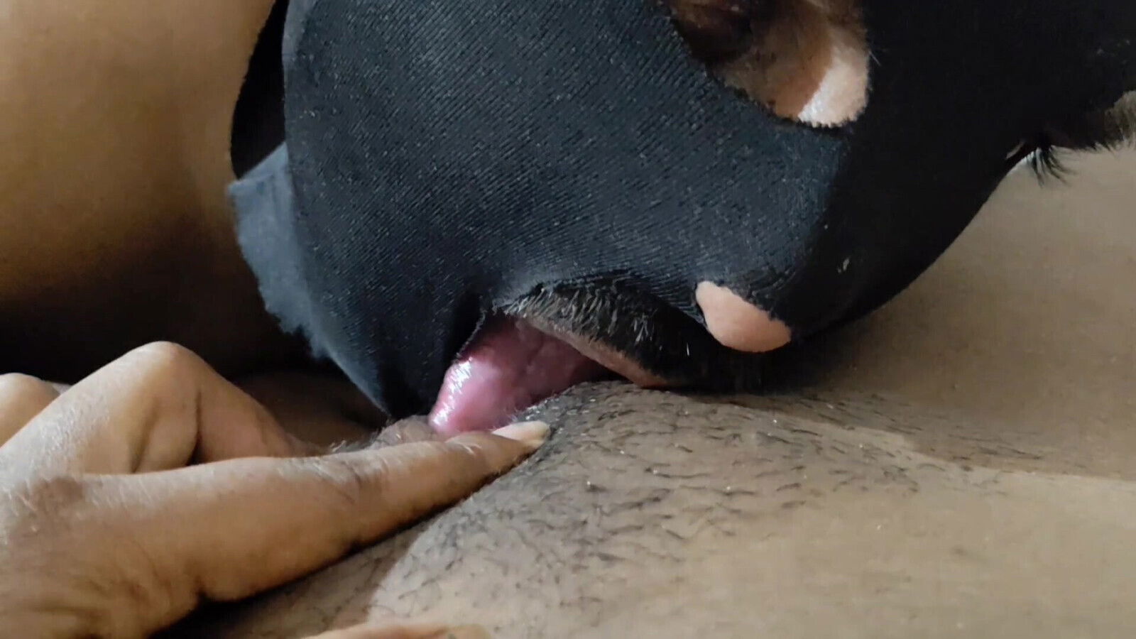 Devar bhabhi Desi style hard pussy licking