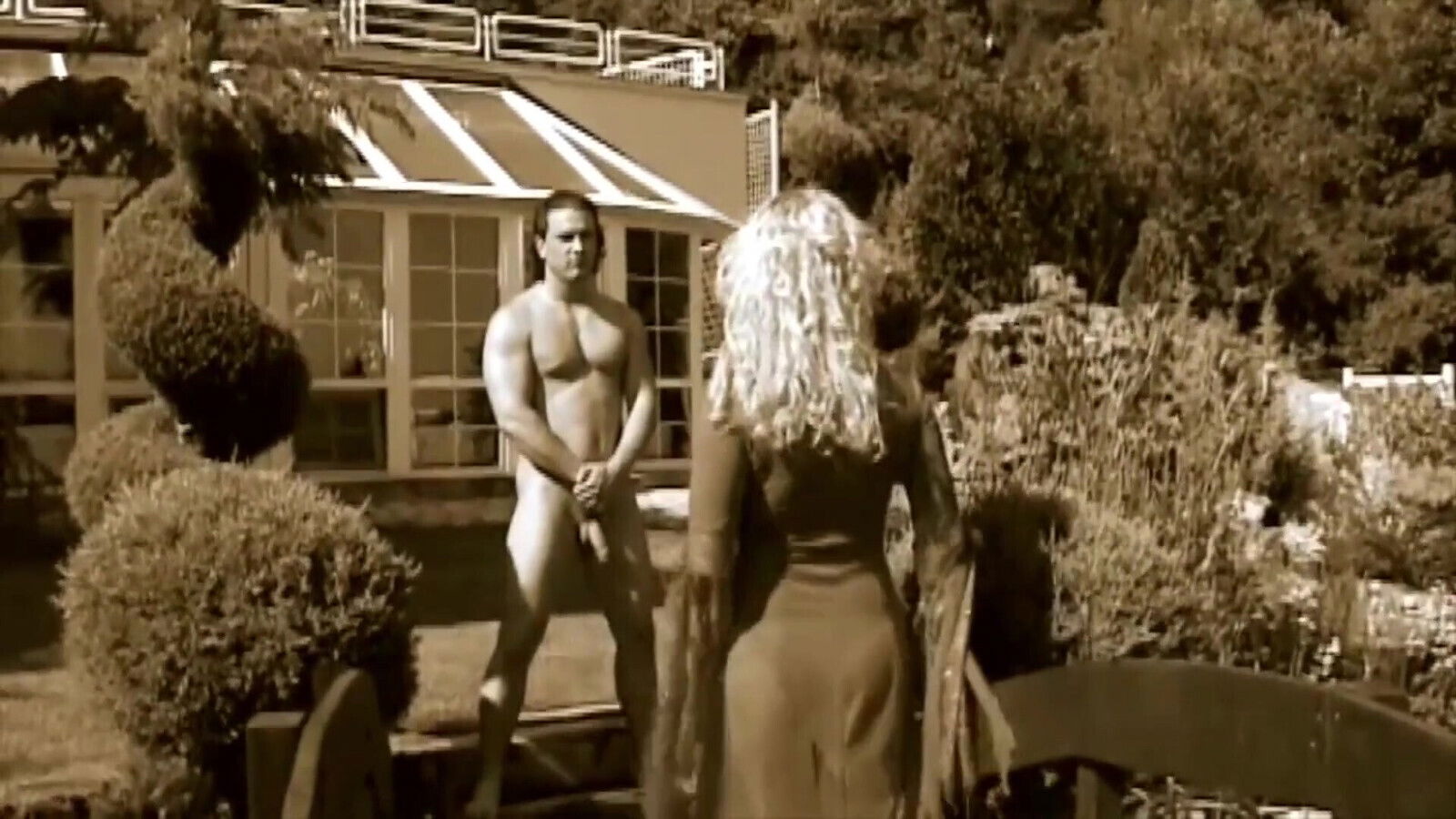 Perverted Fantasies Horny Wife