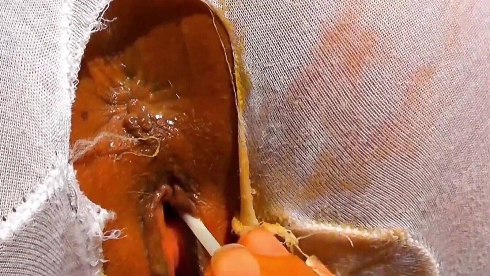 Boobed Amateur Playing Lollipop Inside Pussy