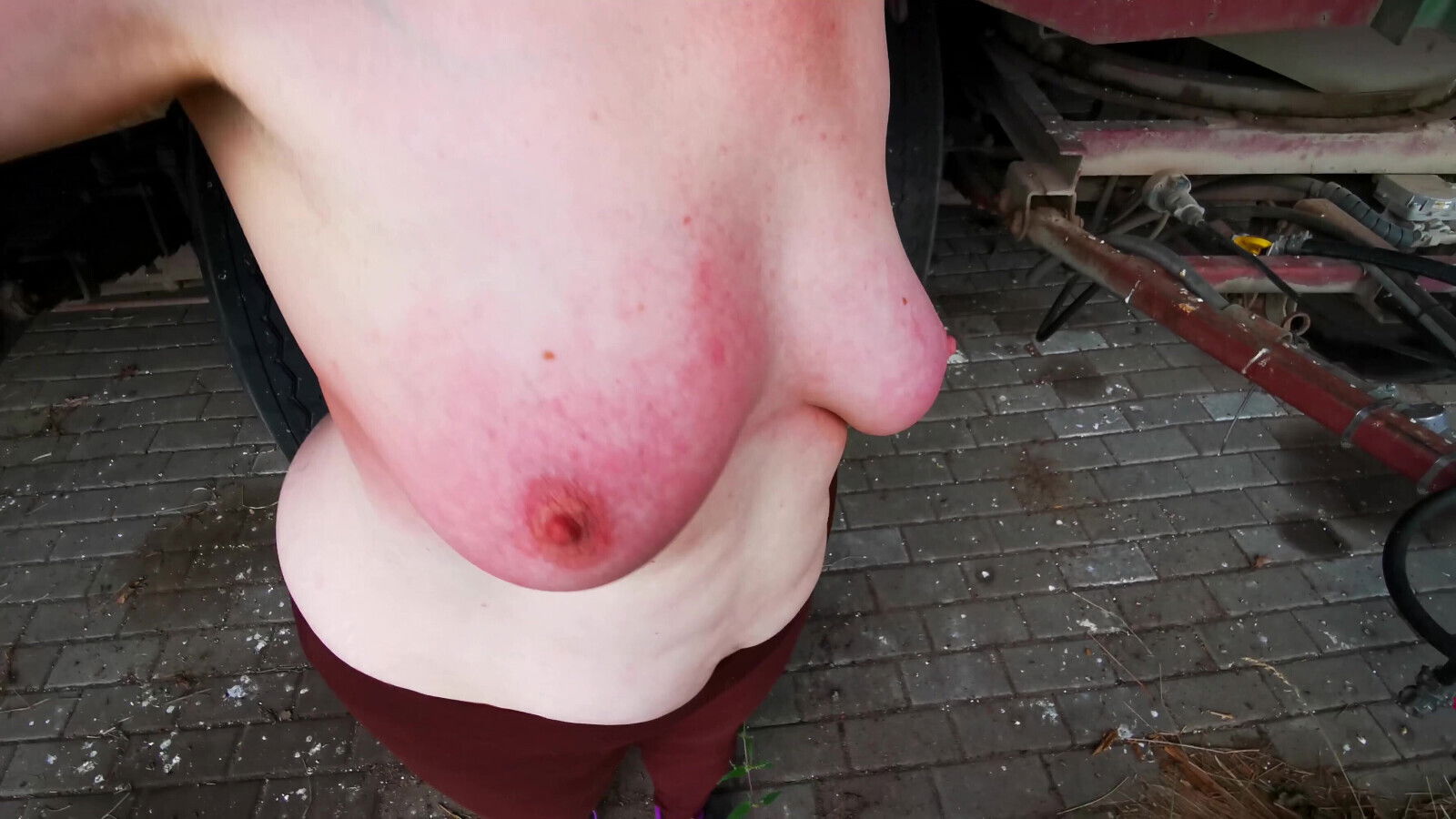 Brueste schlagen beim Bauern