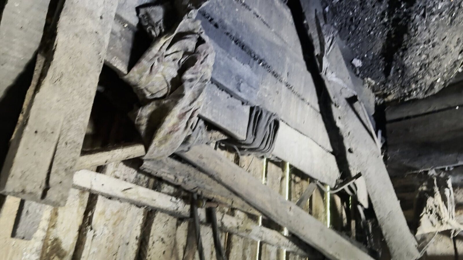 hide from parents jerk