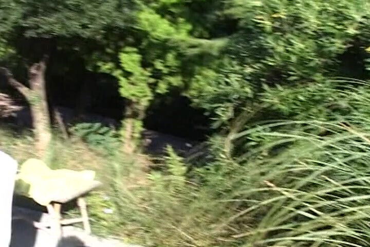 Muscled French chicks enjoying threesome pool