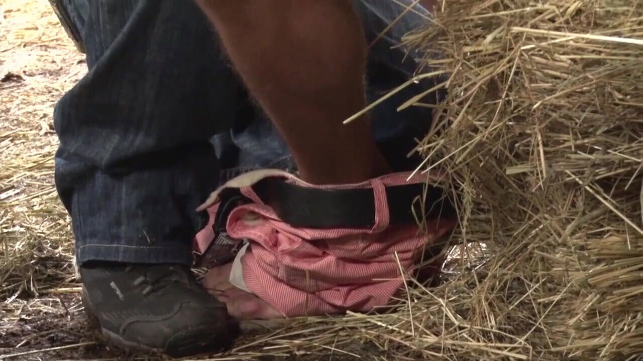 Fantastic Kingdom Gays Scene