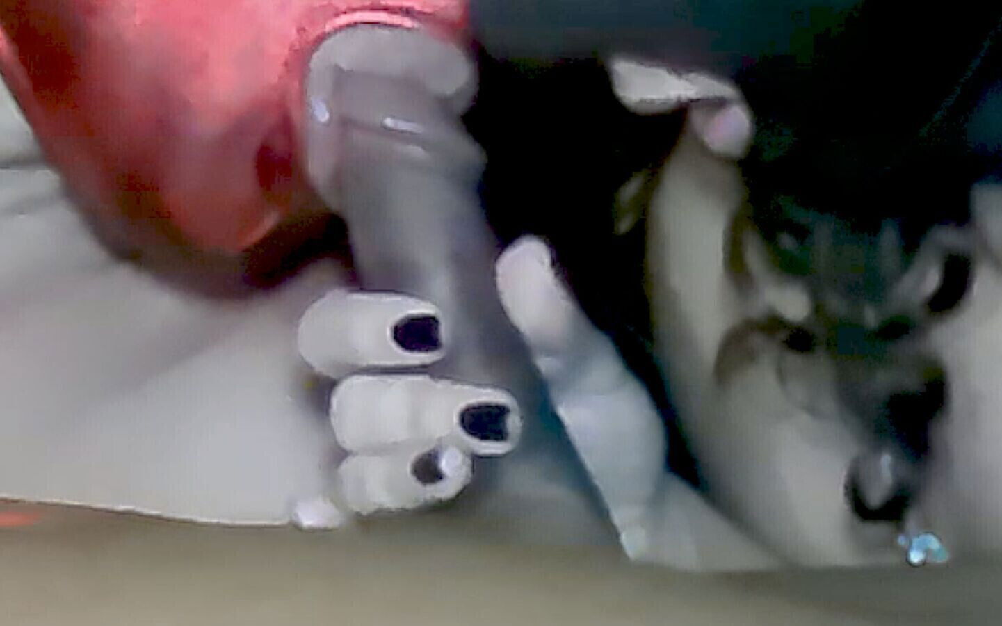 Best Bisexual Blowjob Will Today