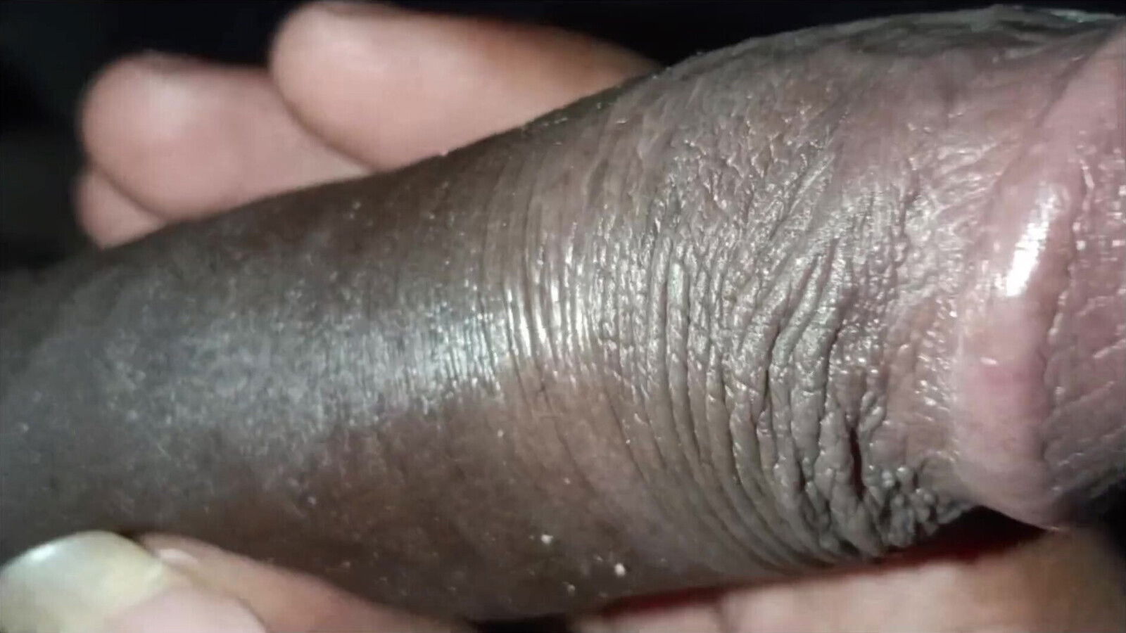 stepom stepson fuck full video