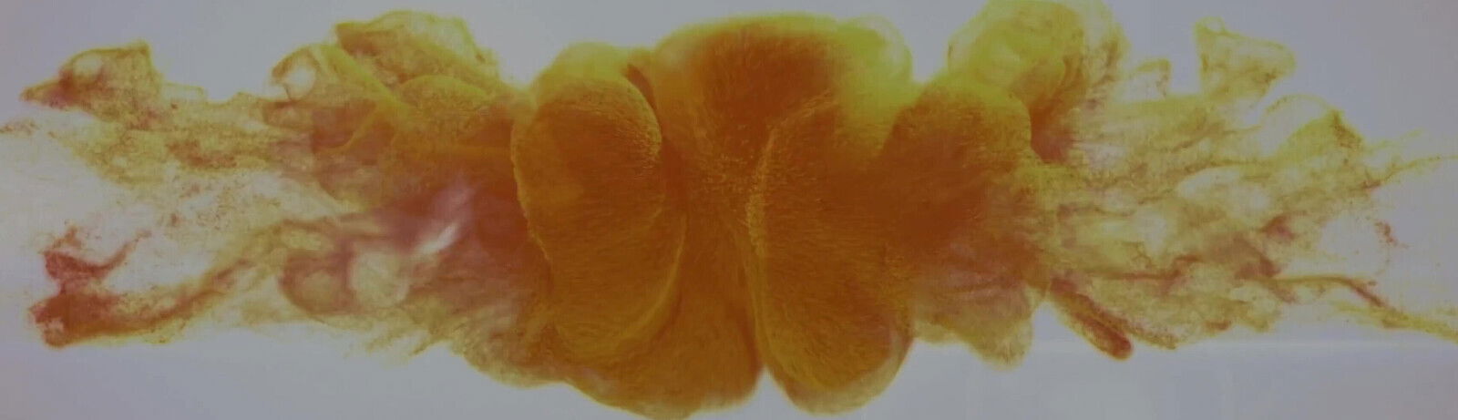 Mopping Diving Pissy