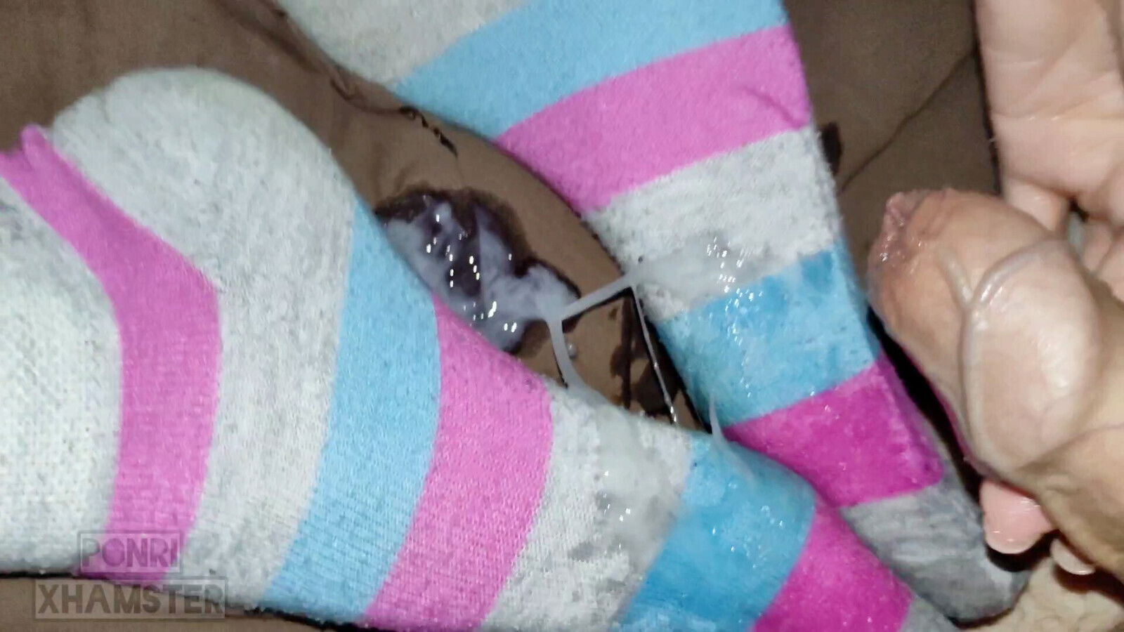 stepsister helped feet cute socks