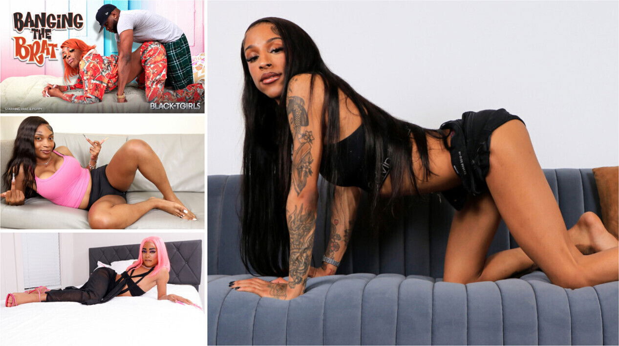 BLACK TGIRLS Compilation Updates June June