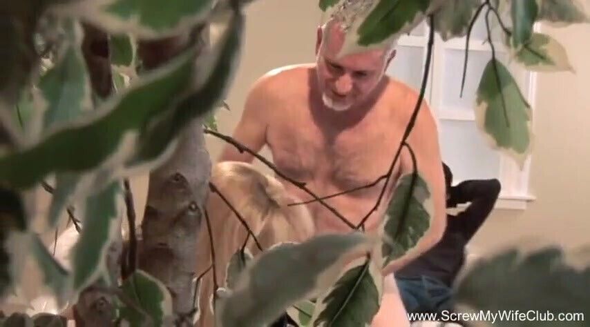 Wonderful busty milf gets banged jizzed boobs