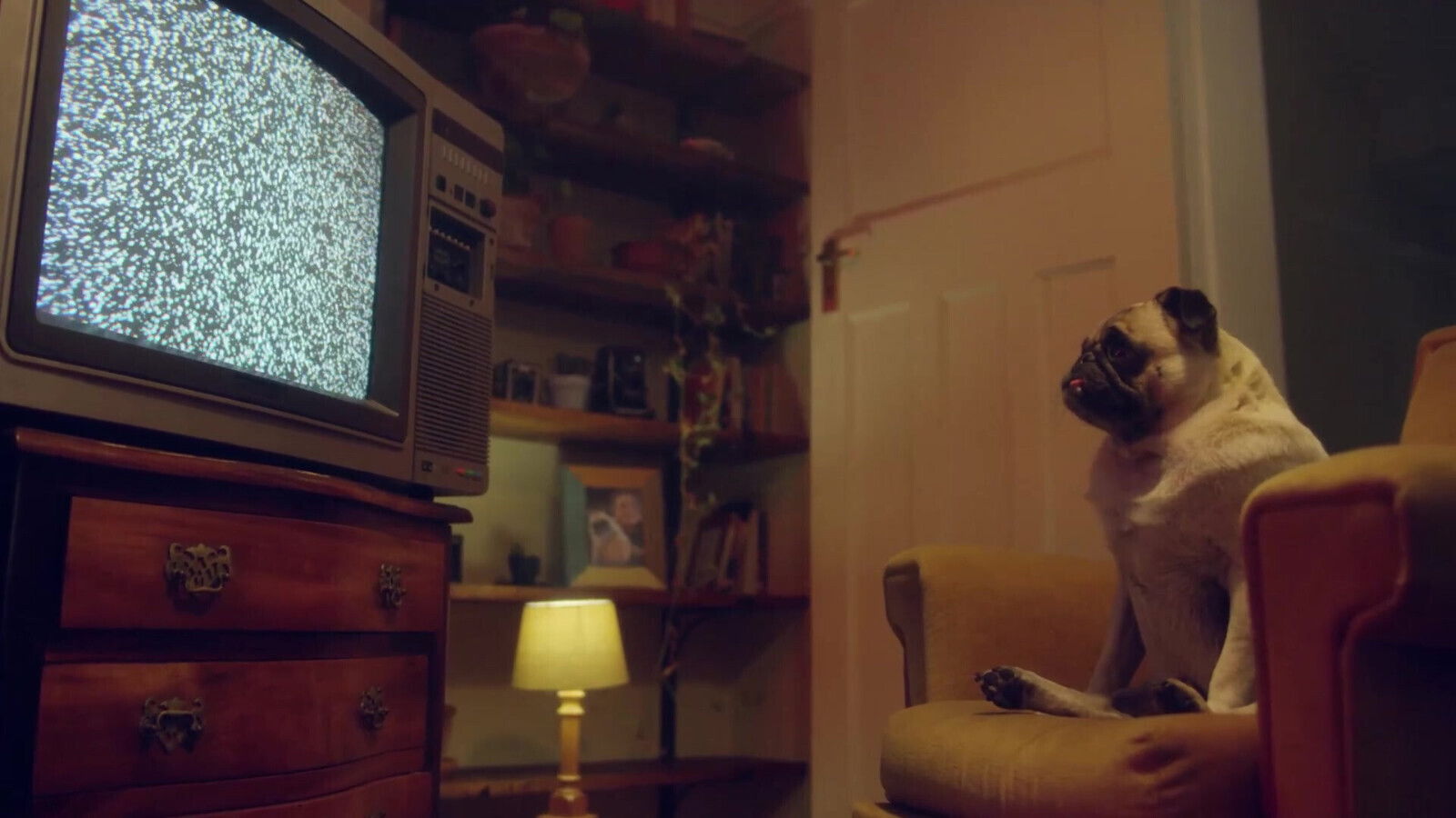 Lesbians Wild lesbian with their favorite toys limits Benefit Monkey