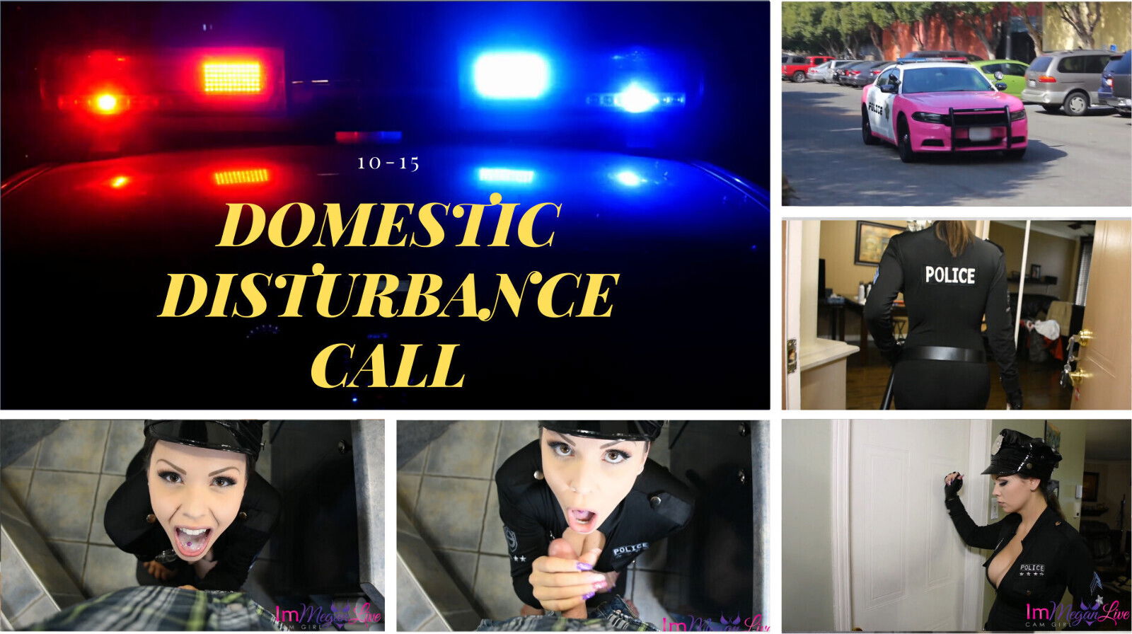 DOMESTIC DISTURBANCE CALL
