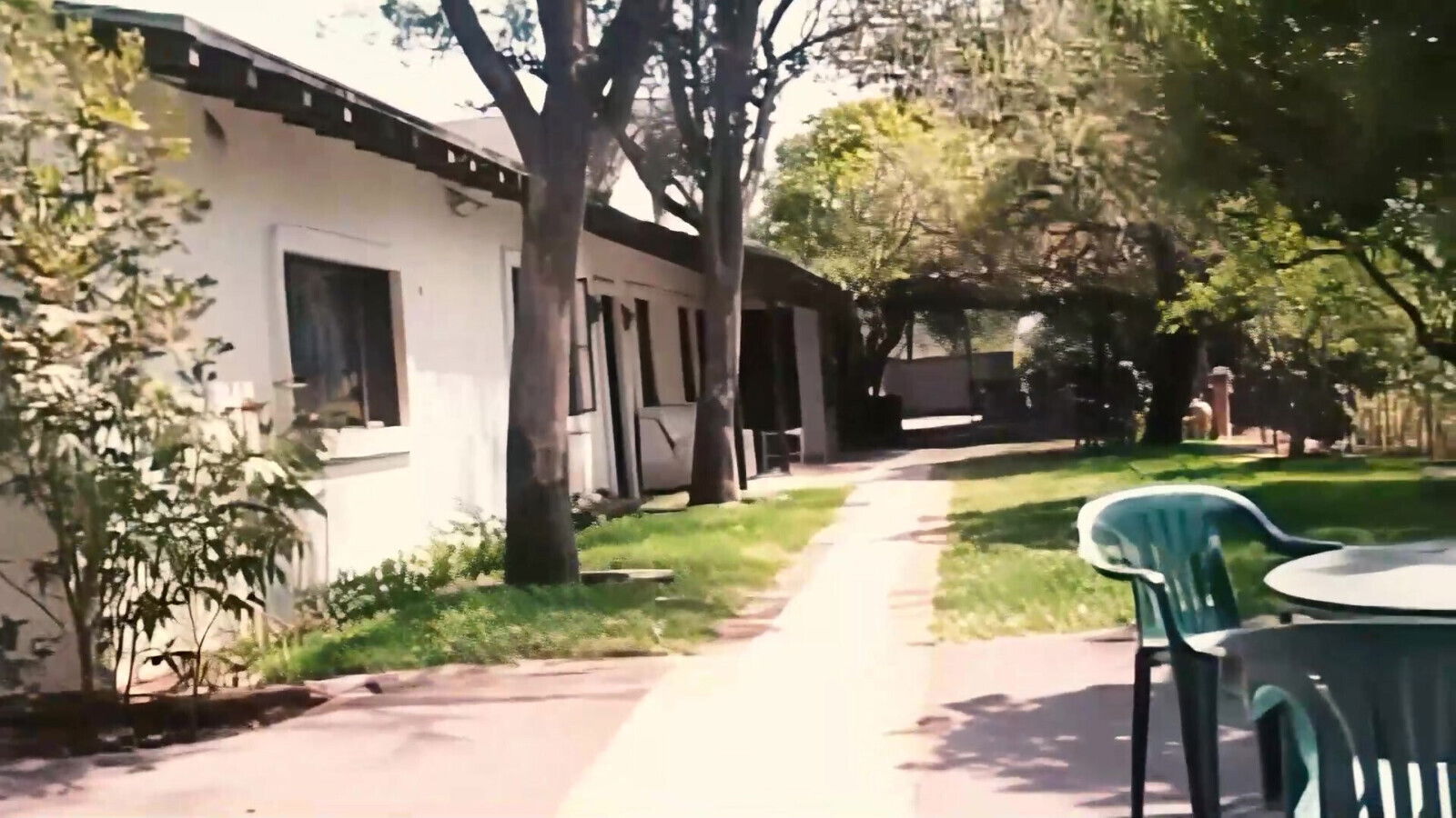 Obsession Kitten Pussies Ghetto