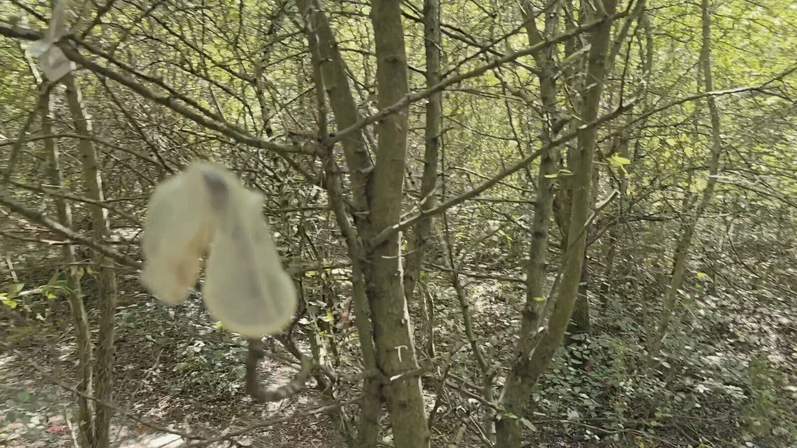 Jerkoff outdoor woods wathcing porno magasin trough used condoms full with sperm.