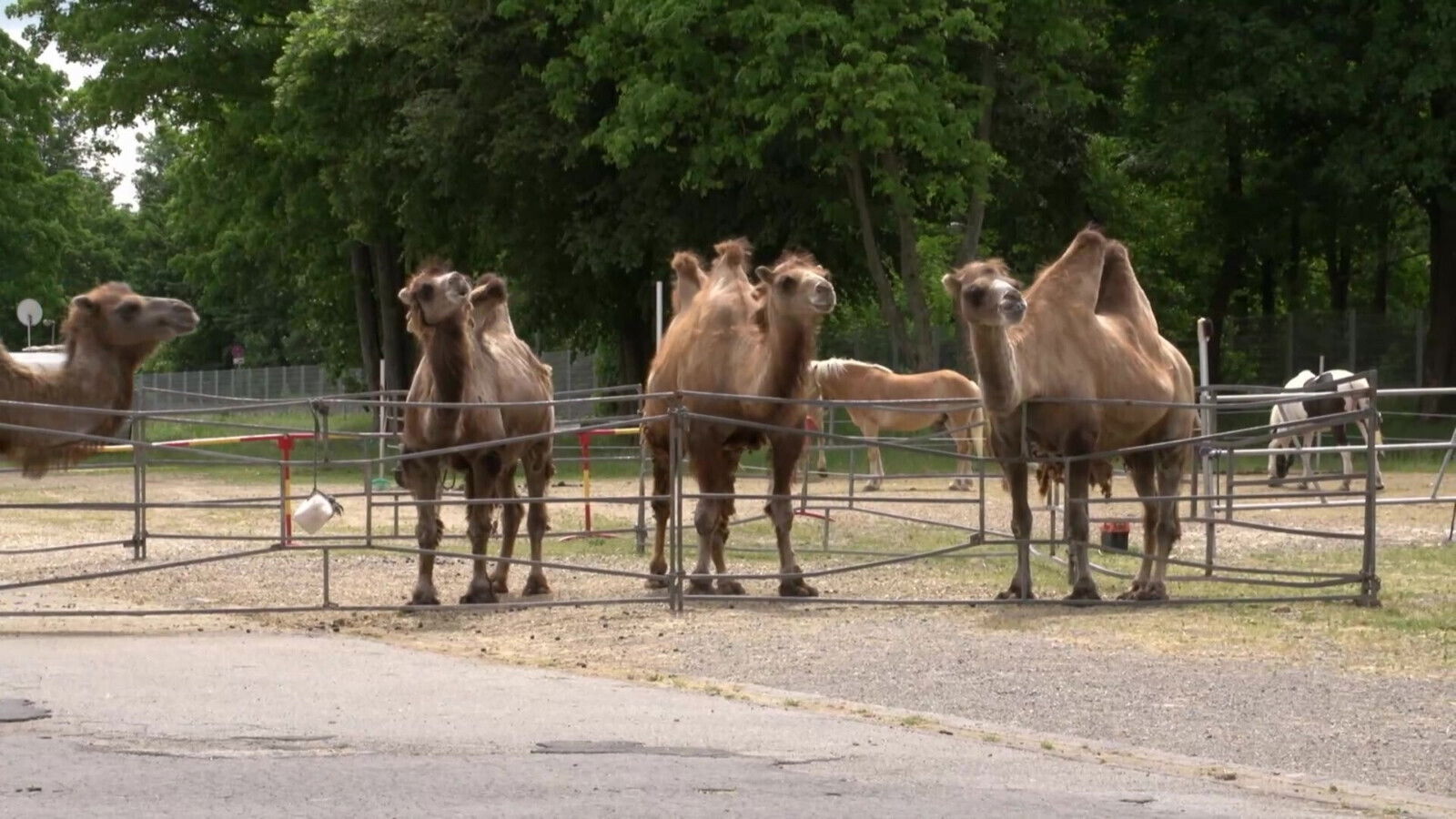 Hotcore Fuck Their Through