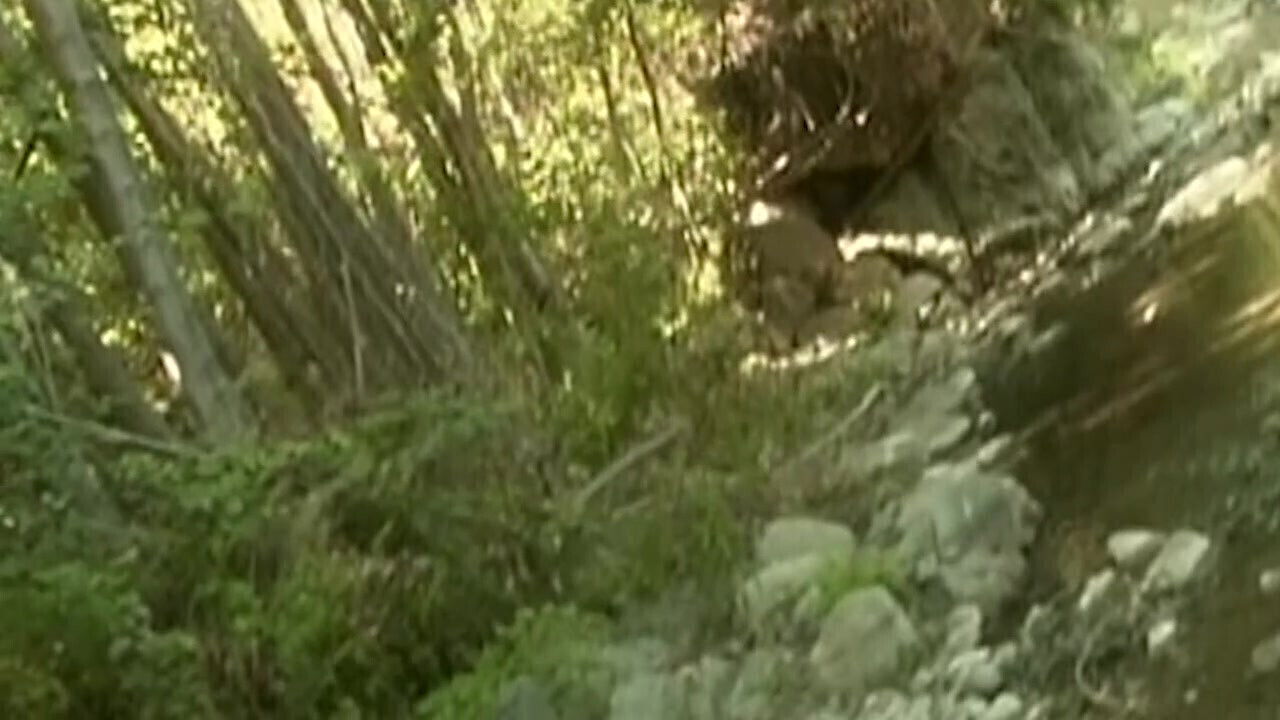 Step Dad's Friend Bold Adventure