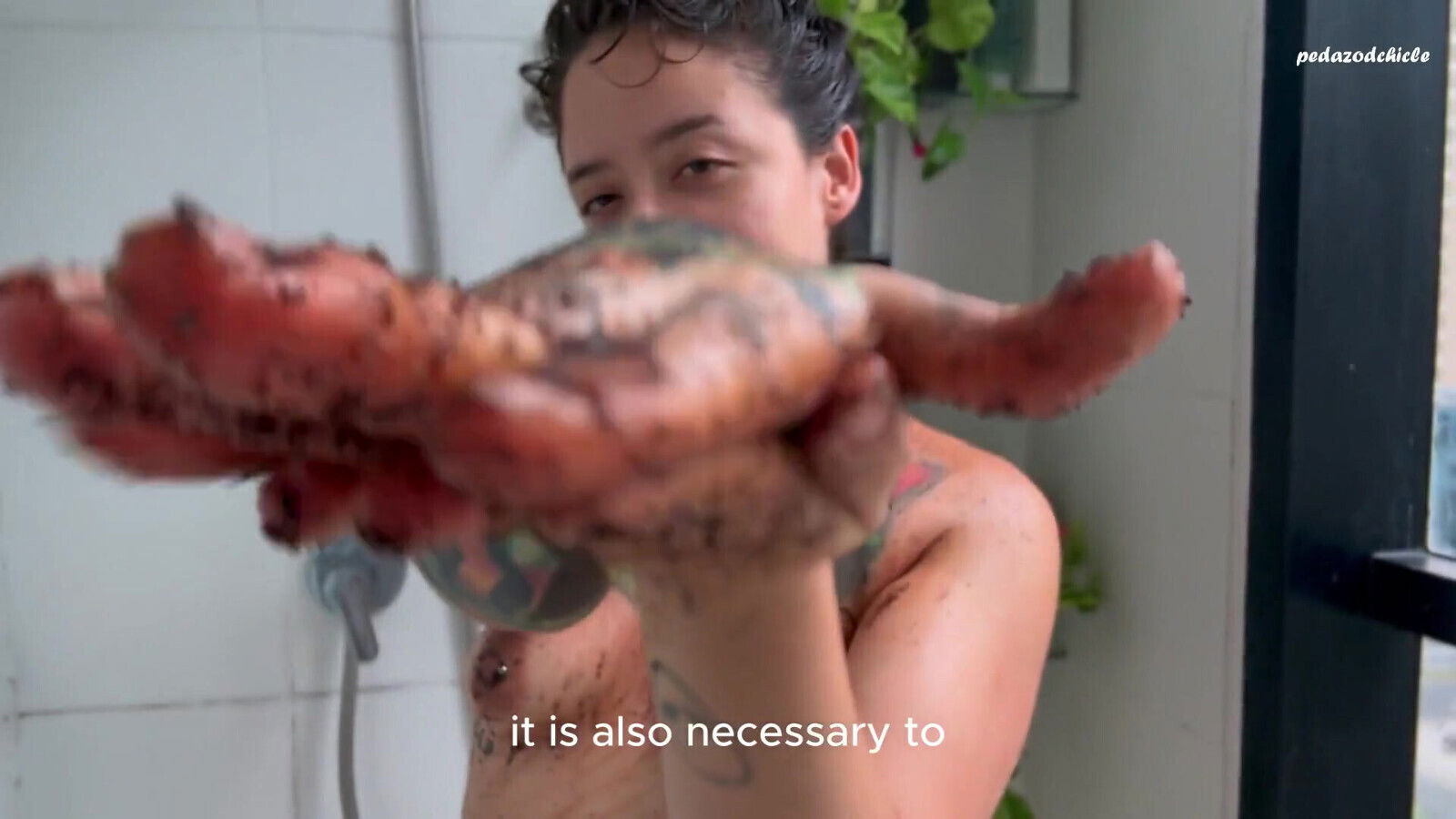 Alternative Girl Give Worship Hairy Armpits