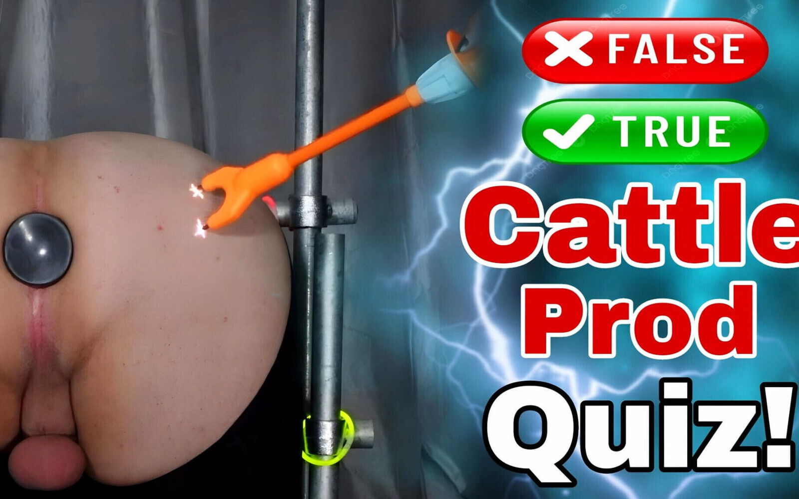 True False Cattle Prod Quiz with Femdom Slave