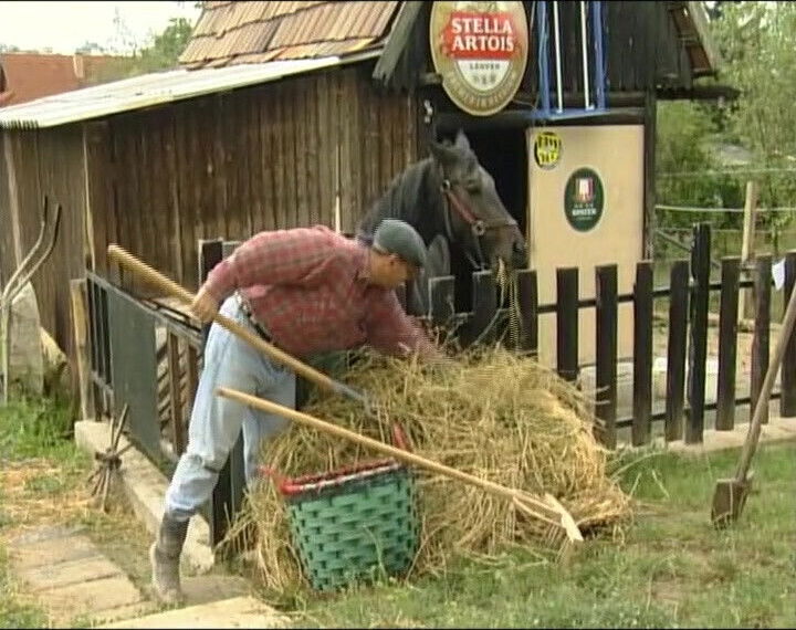 Pretty German teen gets facial after fuck