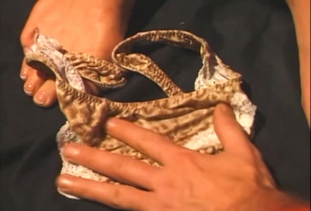 Where every lick tells story