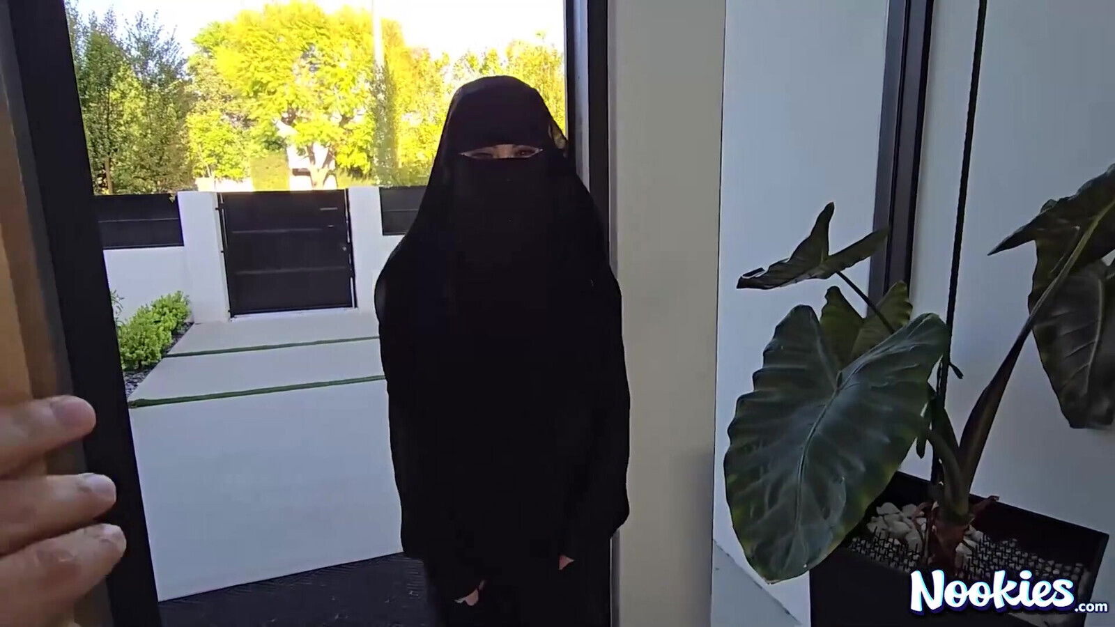 bewitching belly-dancer