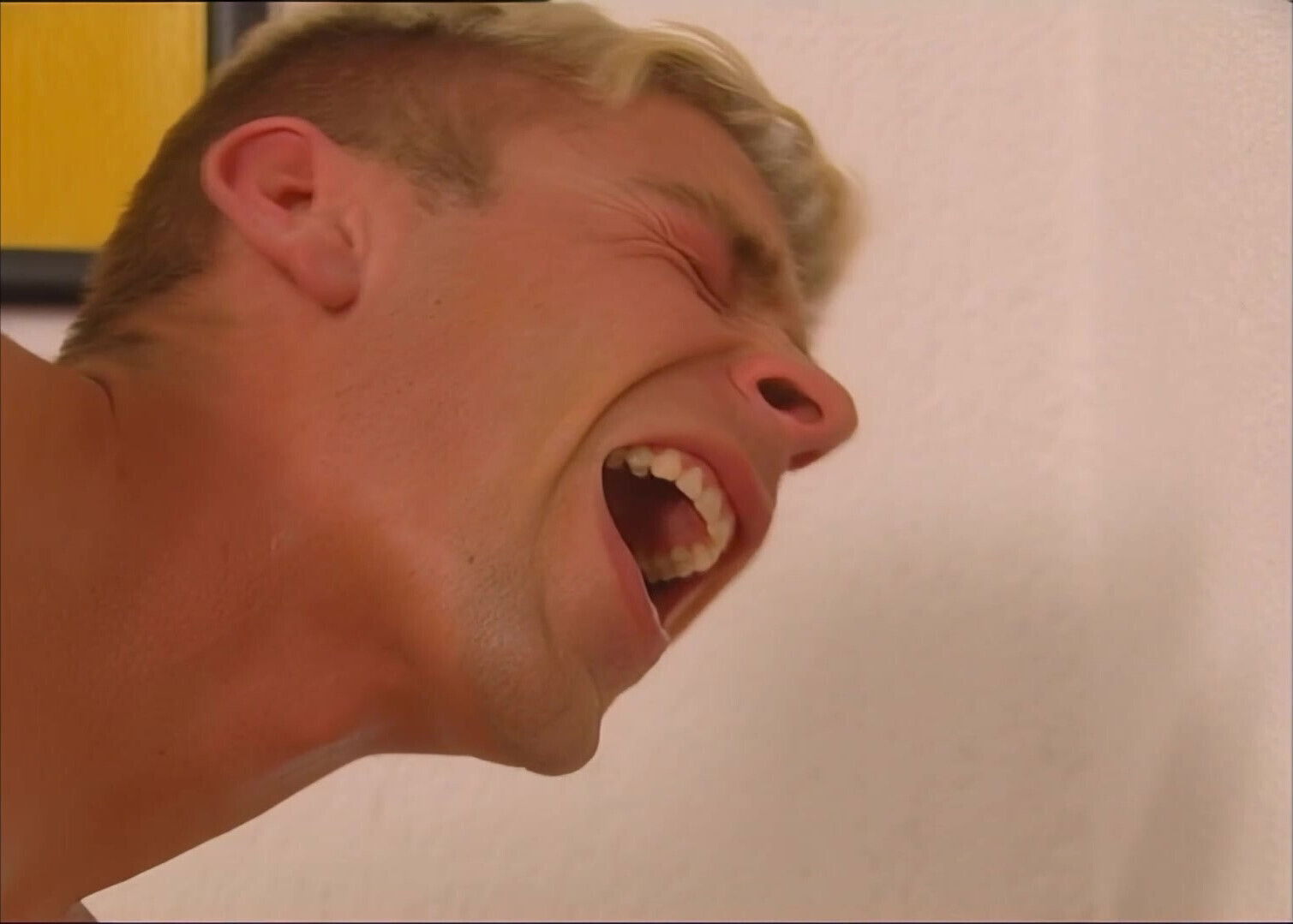 Ass-horny Chickens with Beautiful Pussies Fucked Properly