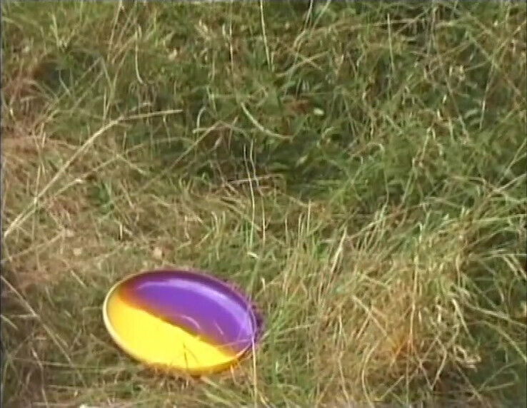 Come Cagne Calore (Full Movie)