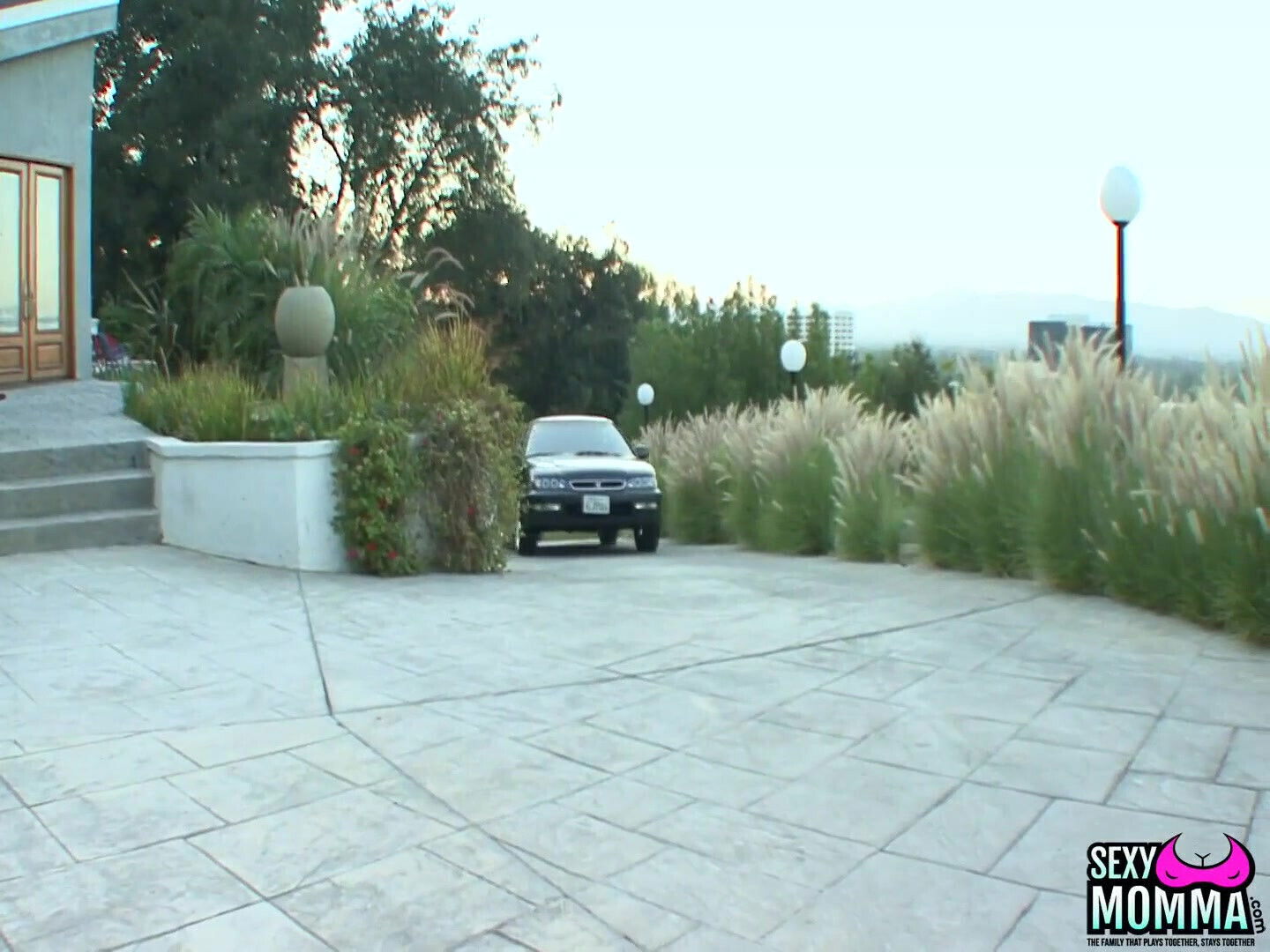 Step Anita D'vae Team Black Dong!