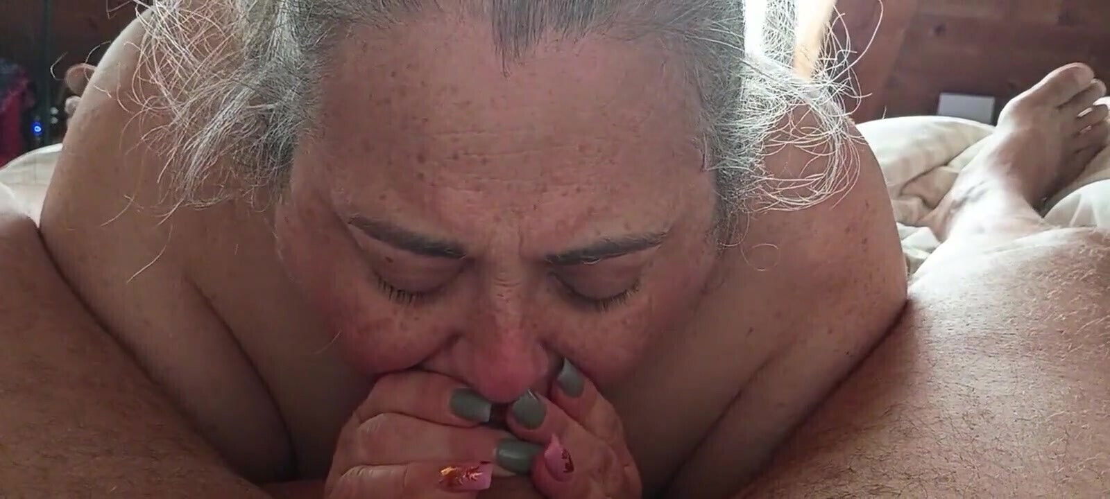 Morning Wood Redwoods