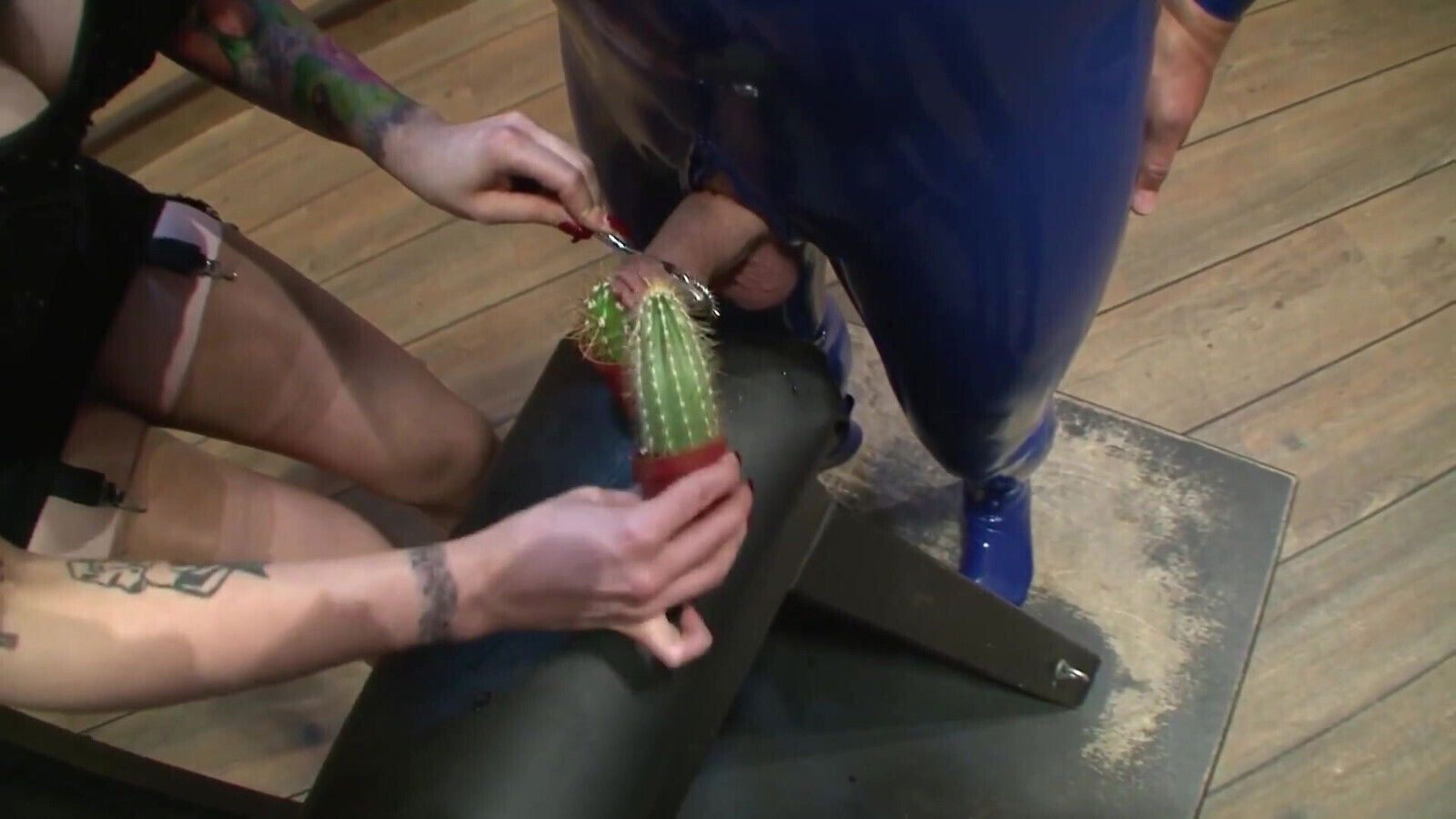 Domina with Male Slaves Cactus Spikey Toys