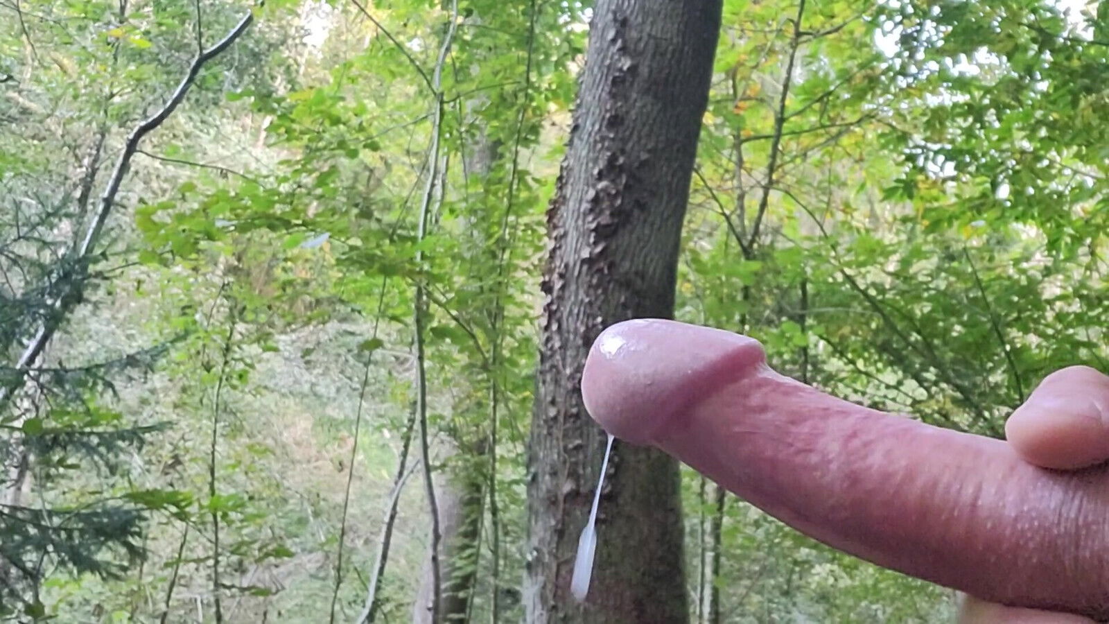 cumshot forest